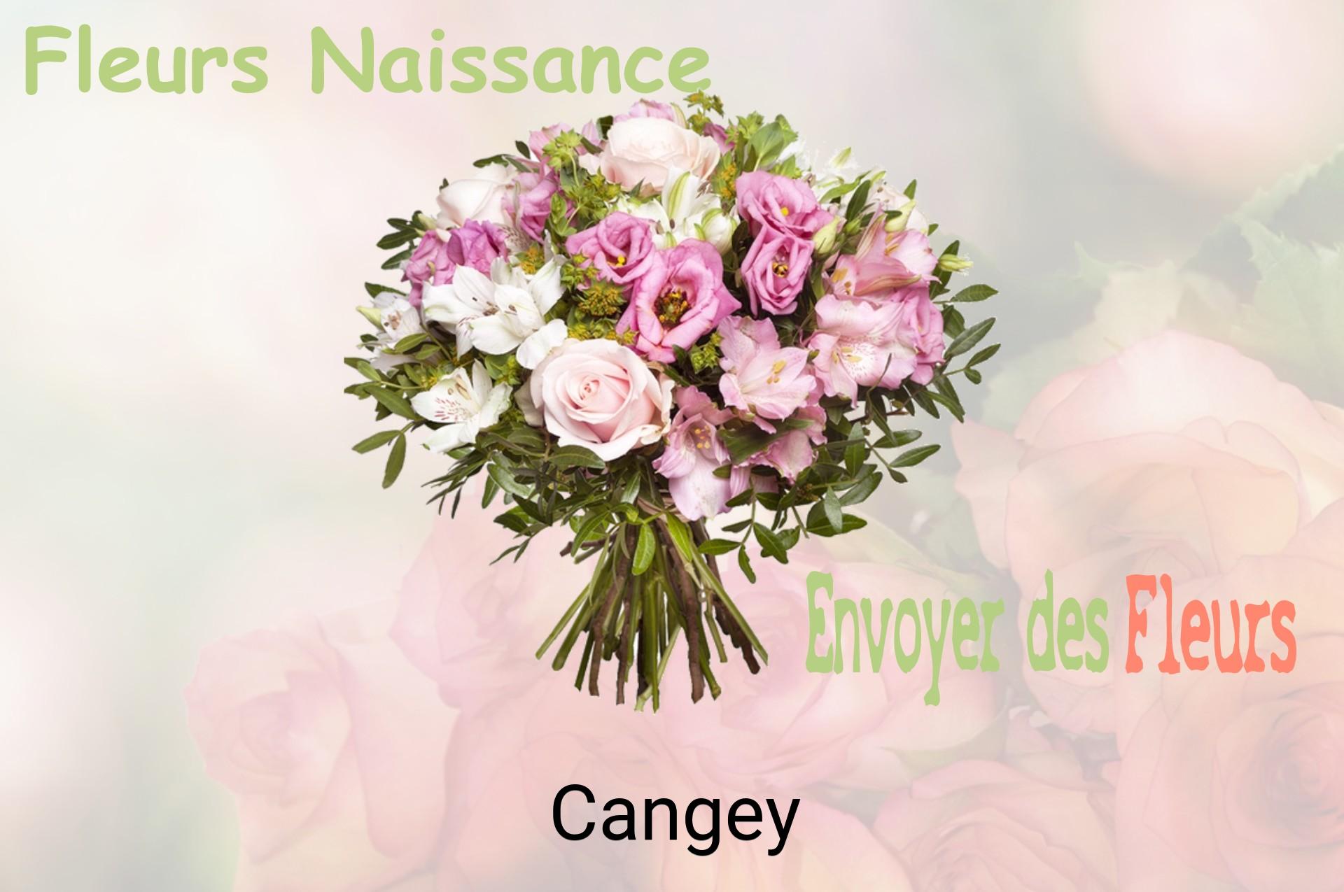 Bouquet de fleurs de naissance livré à Cangey