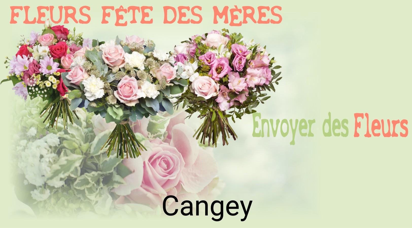 Bouquet de Fête des Mères livré à Cangey